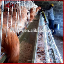 Jaulas de pollo con forma de huevo para 5000 aves de granja de aves de corral